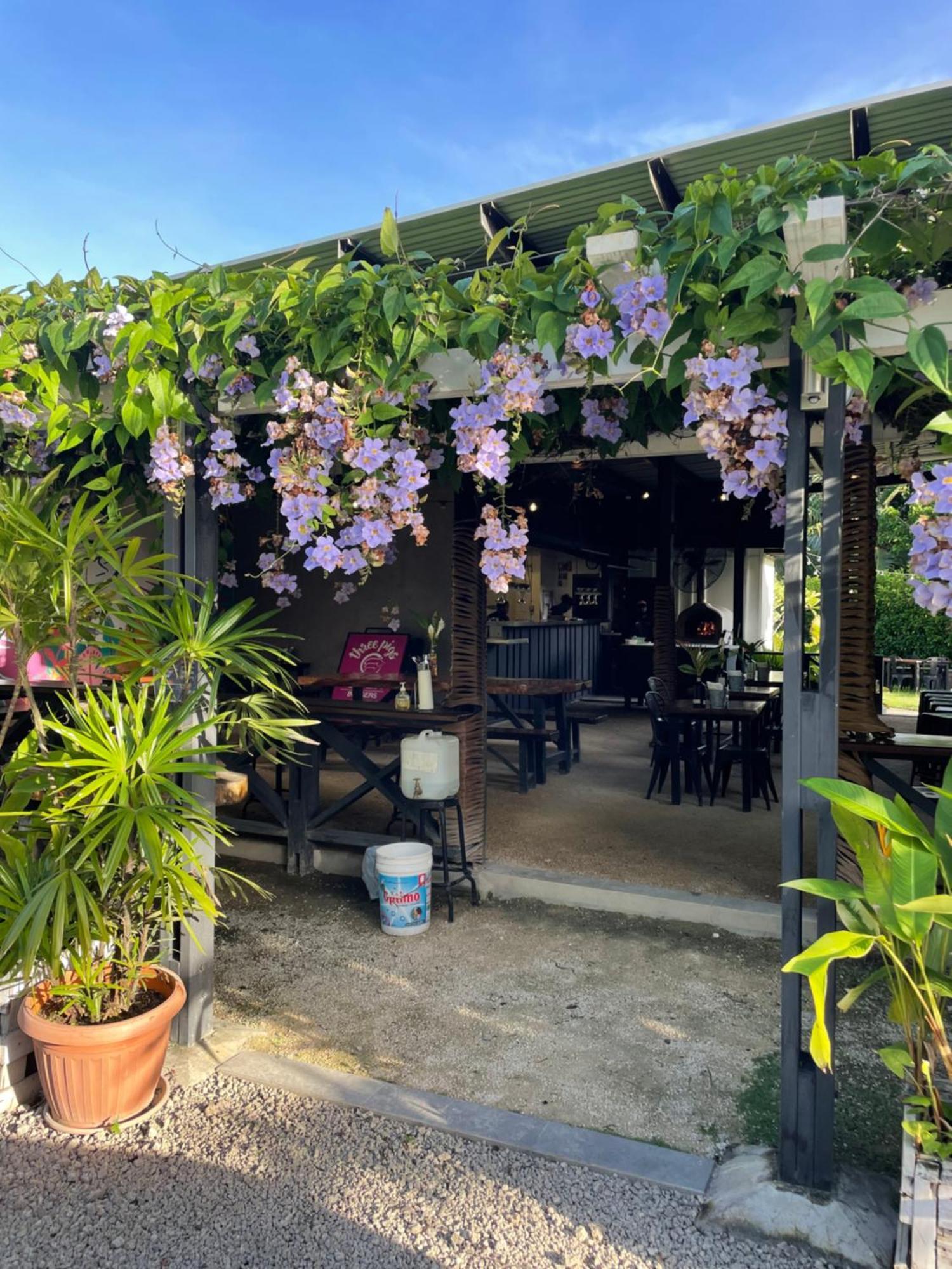 Nasama Resort Port Vila Exteriér fotografie
